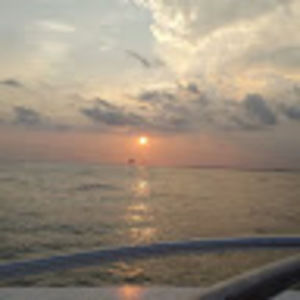 Meet your Posher, Arlyn